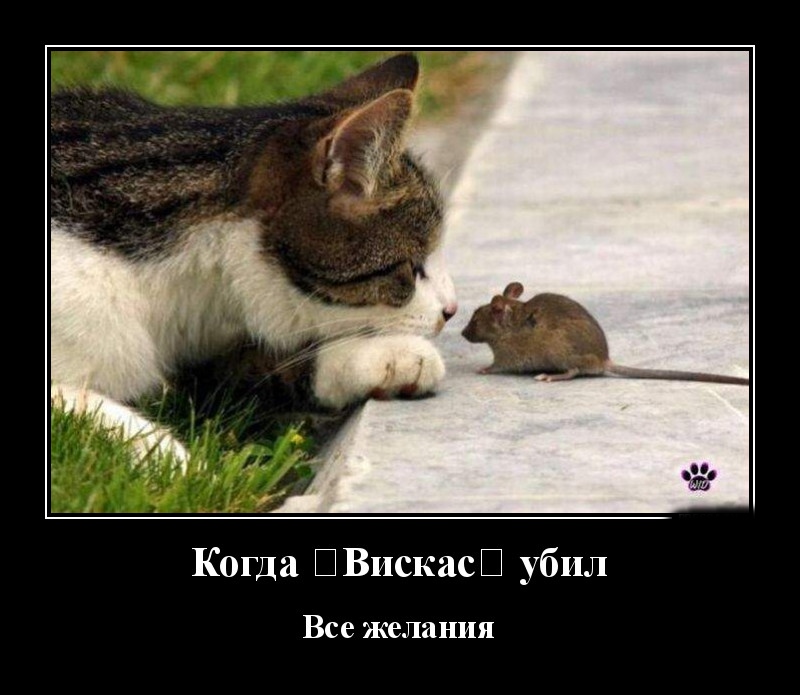 Podborka luchshikh demotivatorov 506 061